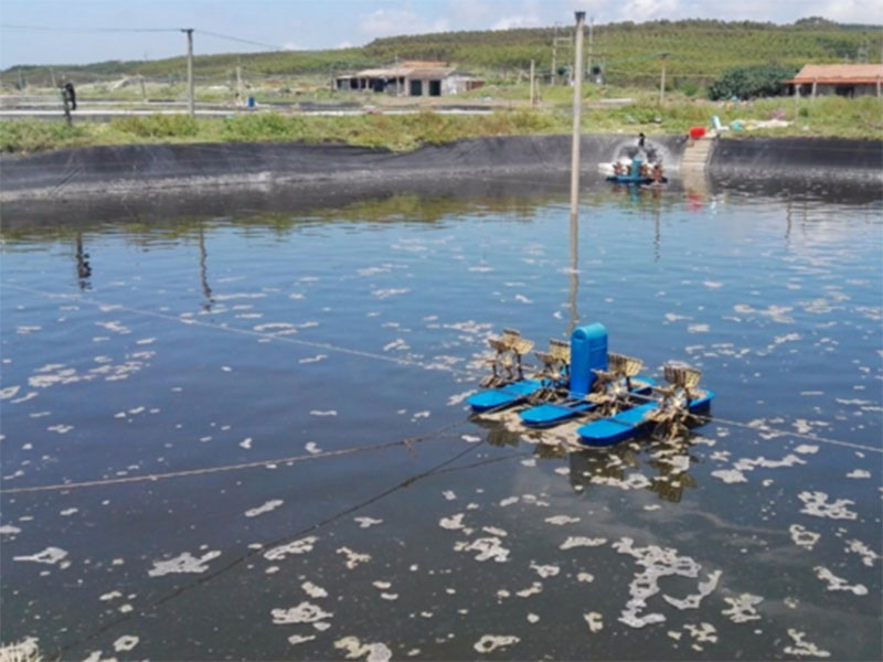 水中亞硝酸鹽含量過(guò)高對養殖有什么影響？