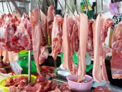 肉類(lèi)水分測定儀的類(lèi)型和原理