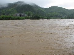 自動(dòng)雷達水位雨量監測系統，為抗洪工作提供數據支持