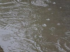雨量監測儀，提供雨量原始數據