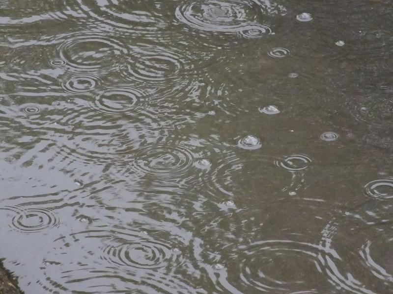 雨量監測儀，提供雨量原始數據