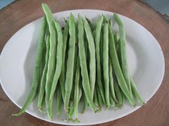 農藥殘留檢測儀，檢測四季豆農藥殘留含量