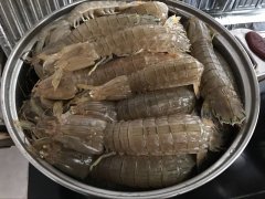 皮皮蝦中為什么會(huì )被檢測出鎘超標？