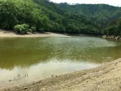 水產(chǎn)養殖檢測儀，為水源保護提供精準數據